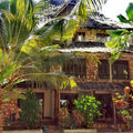 Hidden Gem in Pongwe - 2 Charming Villas with Land